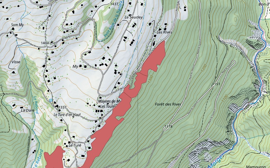 Carte nationale swisstopo avec le périmètre protégé de Toules (Prairie sèche)