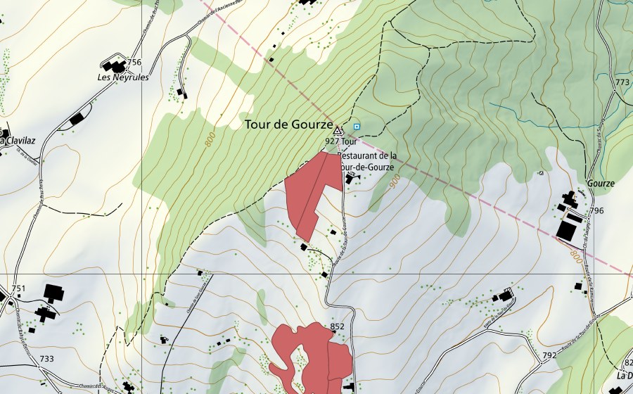 Landeskarte swisstopo mit dem Schutzperimeter von Tour de Gourze (Trockenwiese)