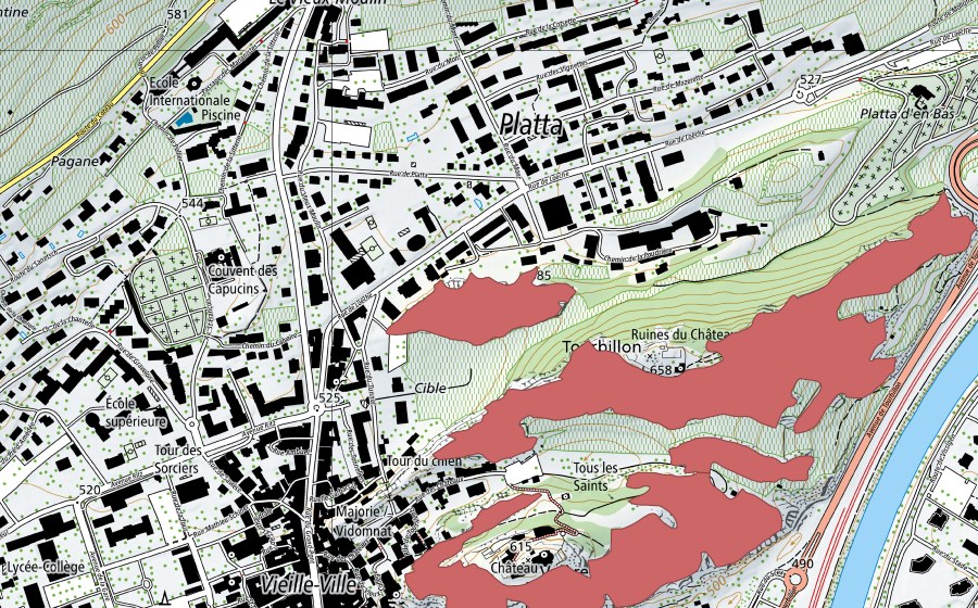 swisstopo national map showing the protected perimeter of Tourbillon (Dry meadow)