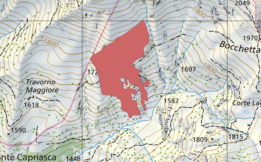 Carte nationale swisstopo avec le périmètre protégé de Travorno Maggiore (Prairie sèche)
