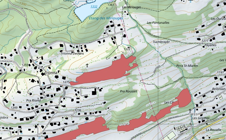 Landeskarte swisstopo mit dem Schutzperimeter von Trionna (Trockenwiese)