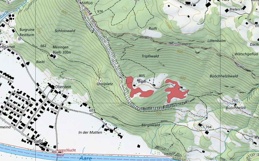 Carte nationale swisstopo avec le périmètre protégé de Tripfi (Prairie sèche)