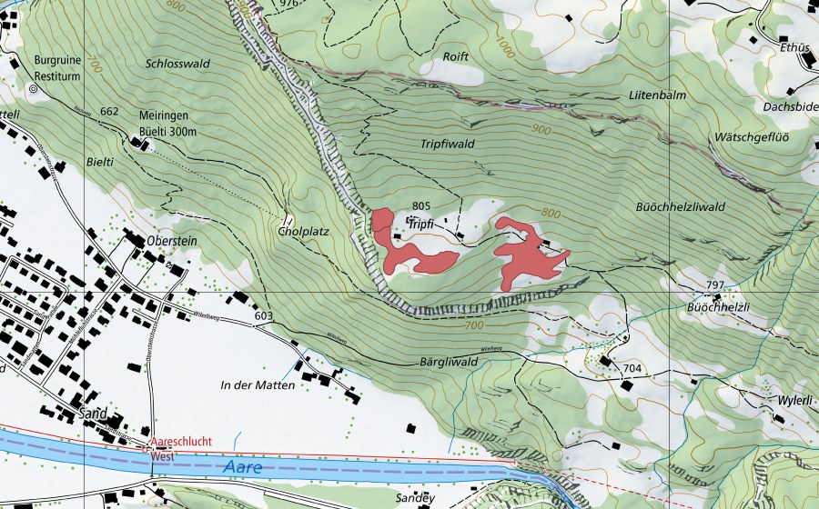 Carte nationale swisstopo avec le périmètre protégé de Tripfi (Prairie sèche)