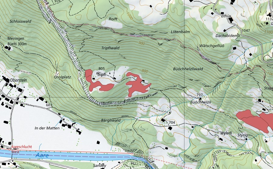 Landeskarte swisstopo mit dem Schutzperimeter von Tripfi (Trockenwiese)