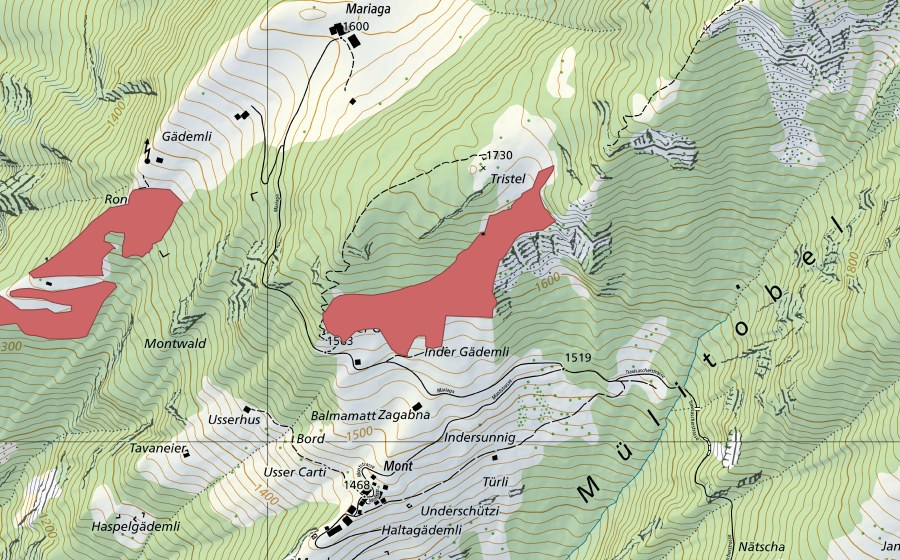 Landeskarte swisstopo mit dem Schutzperimeter von Tristel (Trockenwiese)