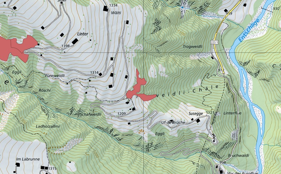 Landeskarte swisstopo mit dem Schutzperimeter von Trogweidli-Chäle (Trockenwiese)