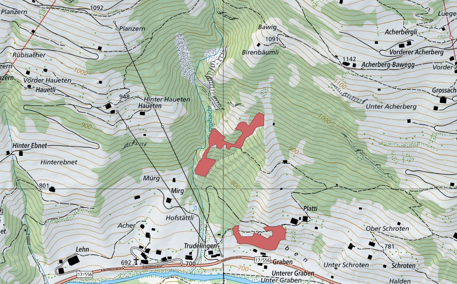 swisstopo national map showing the protected perimeter of Trudelingen (Dry meadow)