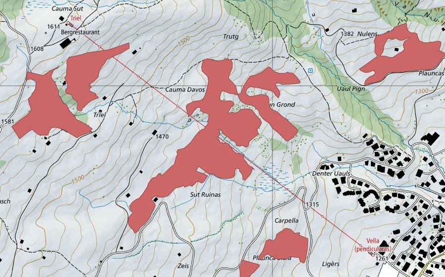 Landeskarte swisstopo mit dem Schutzperimeter von Trutg (Trockenwiese)
