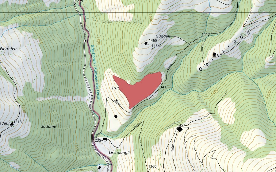 swisstopo national map showing the protected perimeter of Trütharts Vorschess (Dry meadow)