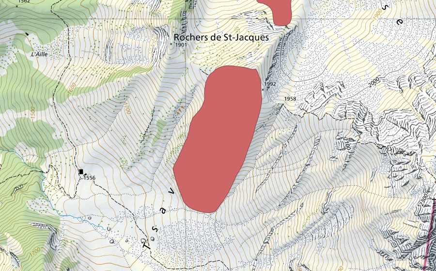 Landeskarte swisstopo mit dem Schutzperimeter von Tsavas (Trockenwiese)