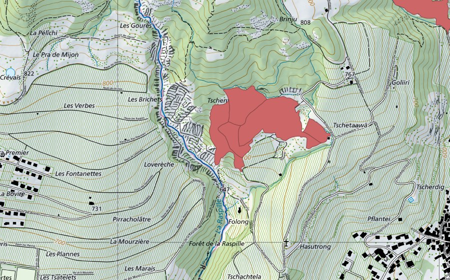 swisstopo national map showing the protected perimeter of Tschachtela (Dry meadow)