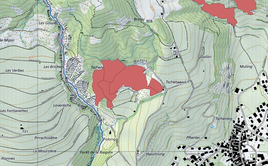 Landeskarte swisstopo mit dem Schutzperimeter von Tschachtela (Trockenwiese)