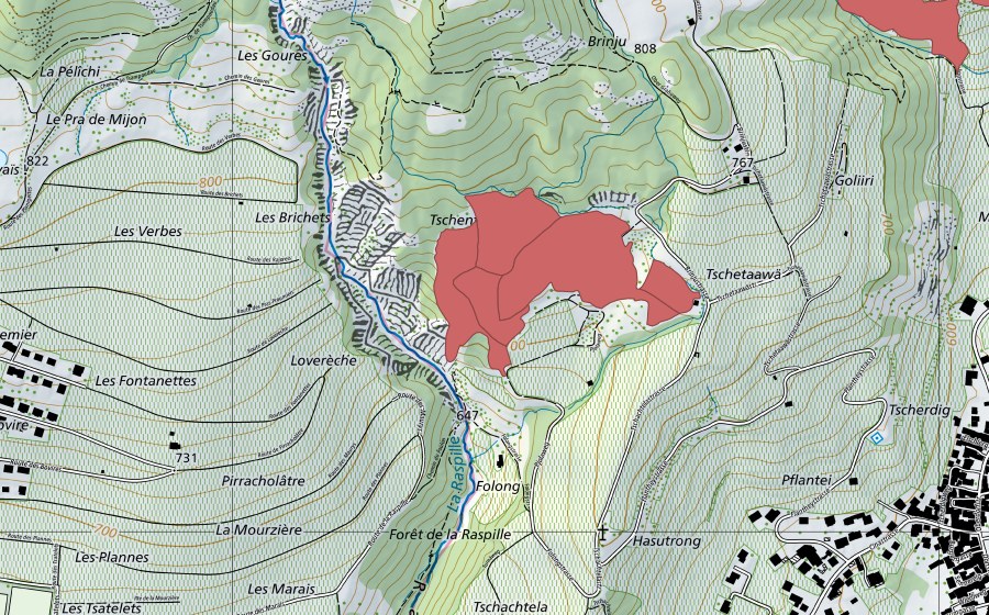 Carte nationale swisstopo avec le périmètre protégé de Tschachtela (Prairie sèche)