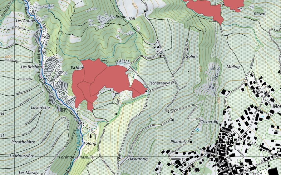 Landeskarte swisstopo mit dem Schutzperimeter von Tschachtela (Trockenwiese)