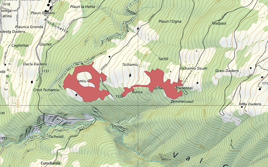 swisstopo national map showing the protected perimeter of Tschamiu (Dry meadow)