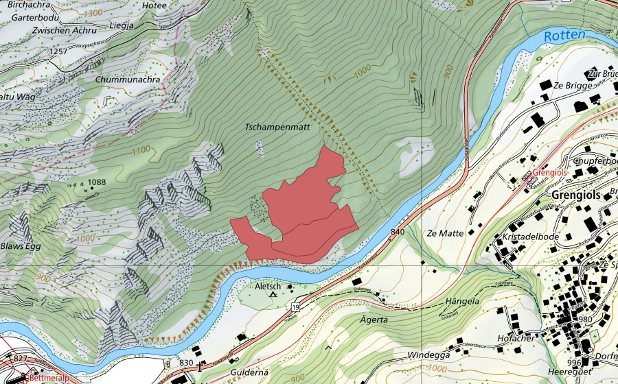 swisstopo national map showing the protected perimeter of Tschampenmatt (Dry meadow)