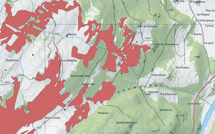 Carte nationale swisstopo avec le périmètre protégé de Tschardaina (Prairie sèche)