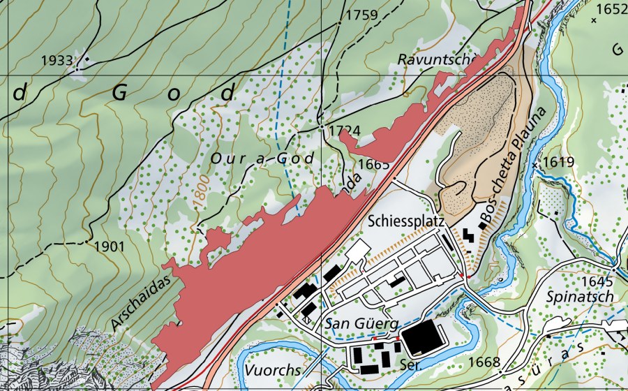 swisstopo national map showing the protected perimeter of Tschessa Granda (Dry meadow)