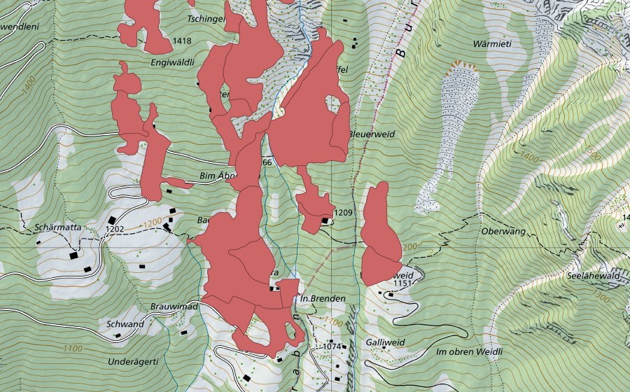 swisstopo national map showing the protected perimeter of Tschingel (Dry meadow)