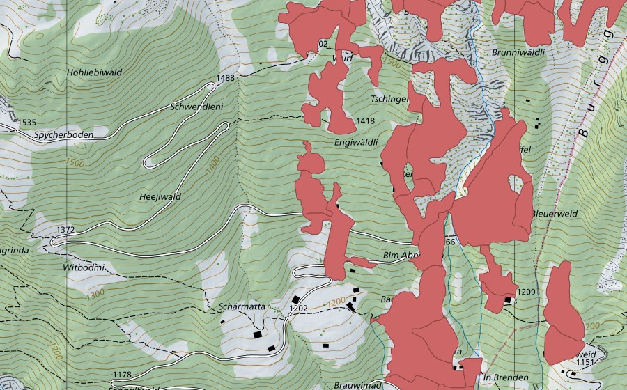 swisstopo national map showing the protected perimeter of Tschingel (Dry meadow)