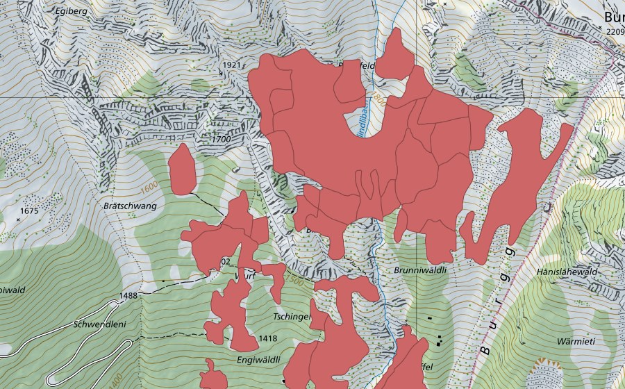 swisstopo national map showing the protected perimeter of Tschingel (Dry meadow)