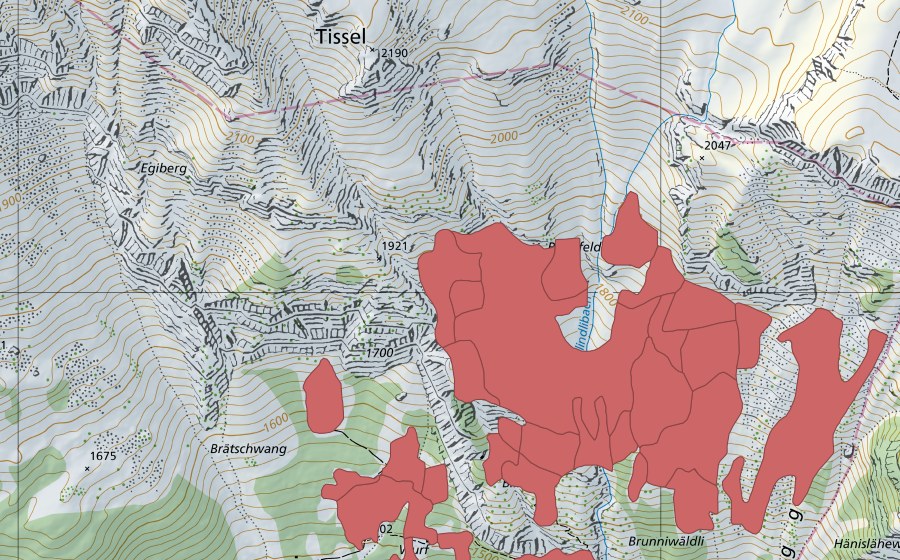 swisstopo national map showing the protected perimeter of Tschingel (Dry meadow)