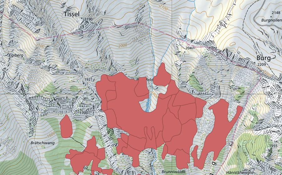 swisstopo national map showing the protected perimeter of Tschingel (Dry meadow)