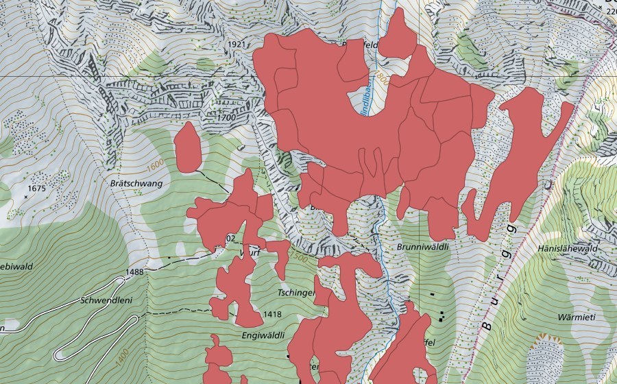 swisstopo national map showing the protected perimeter of Tschingel (Dry meadow)