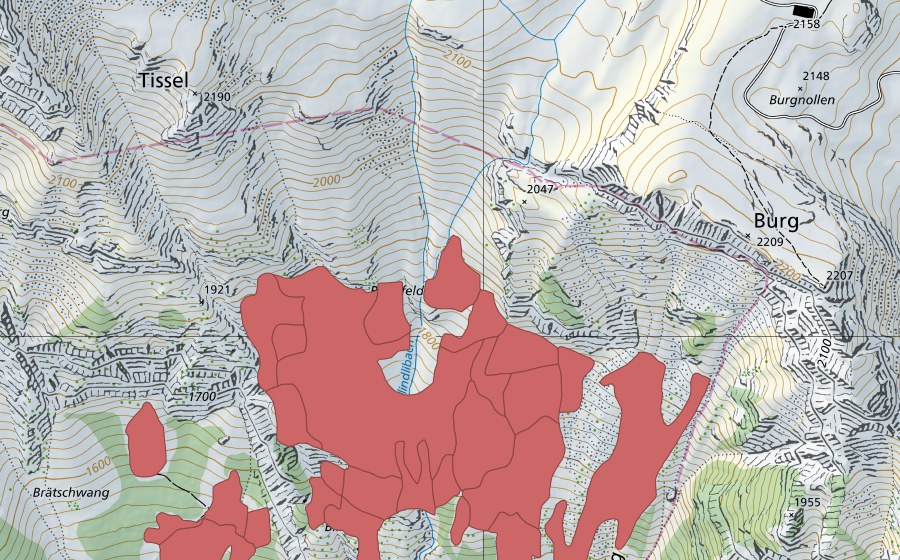 swisstopo national map showing the protected perimeter of Tschingel (Dry meadow)