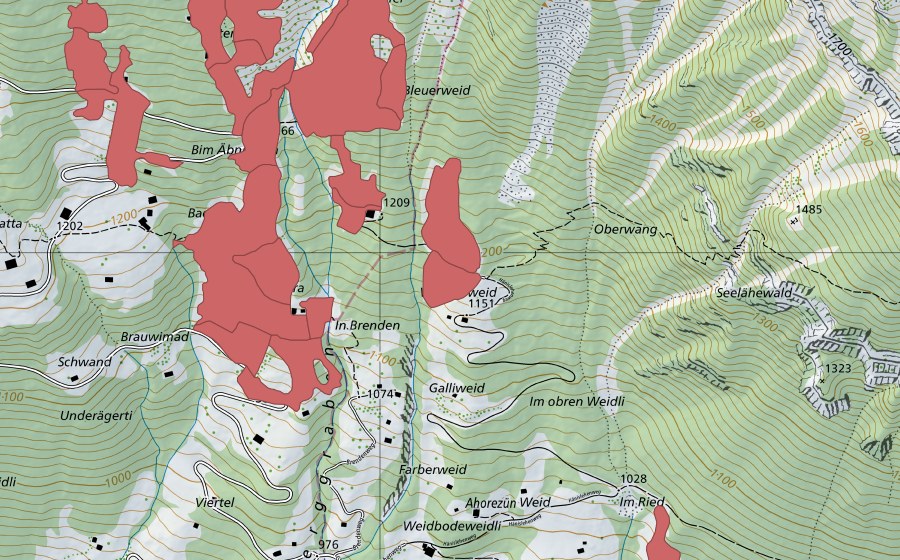 swisstopo national map showing the protected perimeter of Tschingel (Dry meadow)