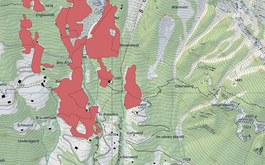 swisstopo national map showing the protected perimeter of Tschingel (Dry meadow)