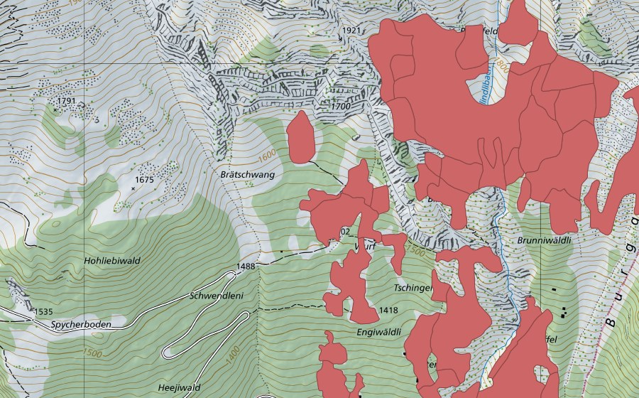 Landeskarte swisstopo mit dem Schutzperimeter von Tschingel (Trockenwiese)