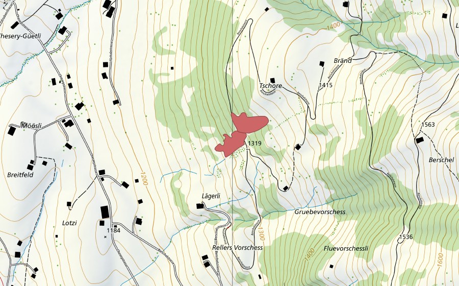Carte nationale swisstopo avec le périmètre protégé de Tschore (Prairie sèche)
