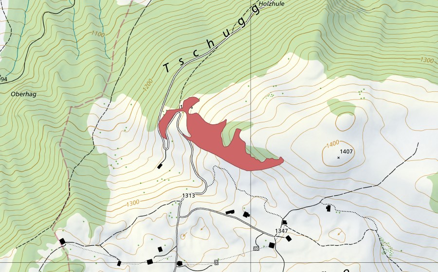 swisstopo national map showing the protected perimeter of Tschugge (Dry meadow)