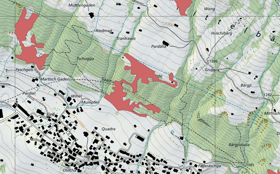 Landeskarte swisstopo mit dem Schutzperimeter von Tschuggen (Trockenwiese)