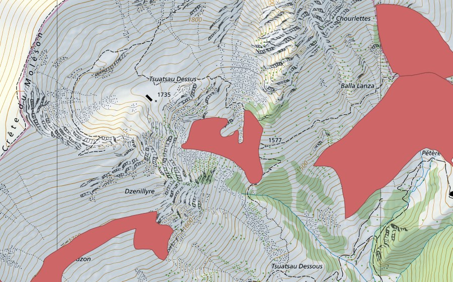 Landeskarte swisstopo mit dem Schutzperimeter von Tsuatsaux d'en Haut (Trockenwiese)