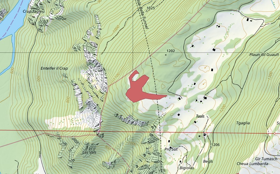 swisstopo national map showing the protected perimeter of Tuals (Dry meadow)