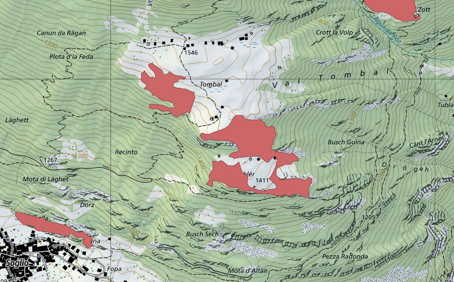 Landeskarte swisstopo mit dem Schutzperimeter von Tumbler (Trockenwiese)