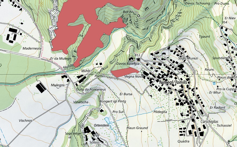 Carte nationale swisstopo avec le périmètre protégé de Tumegl/Tomils (Prairie sèche)