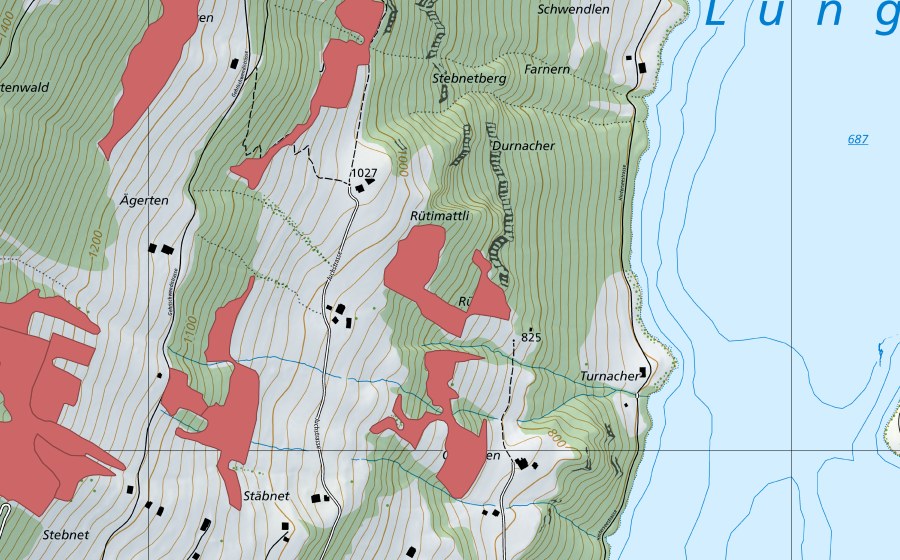 swisstopo national map showing the protected perimeter of Turnacher (Dry meadow)