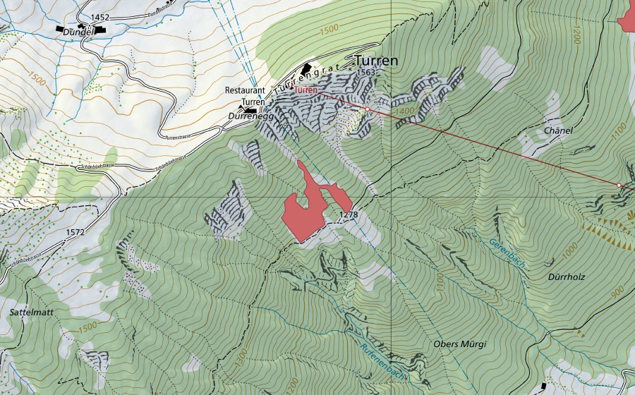 Landeskarte swisstopo mit dem Schutzperimeter von Turren (Trockenwiese)
