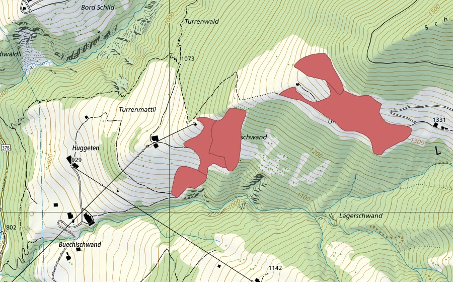 Landeskarte swisstopo mit dem Schutzperimeter von Turren (Trockenwiese)