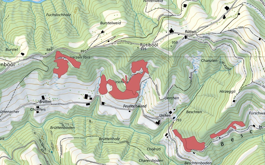 swisstopo national map showing the protected perimeter of Uerchen (Dry meadow)