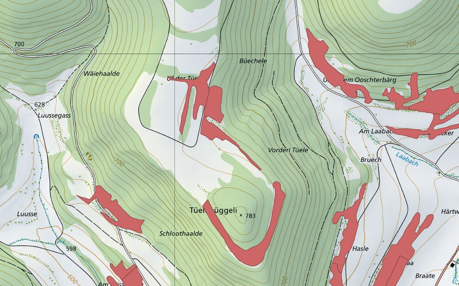 Landeskarte swisstopo mit dem Schutzperimeter von Uf der Tüele (Trockenwiese)