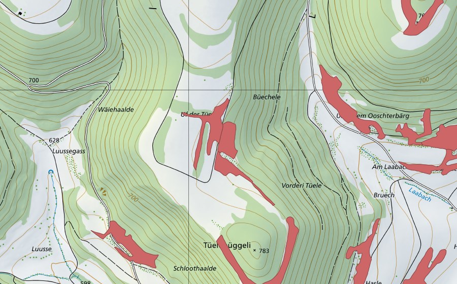 Landeskarte swisstopo mit dem Schutzperimeter von Uf der Tüele (Trockenwiese)