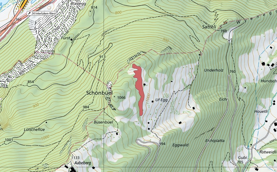 Landeskarte swisstopo mit dem Schutzperimeter von Uf Egg (Trockenwiese)