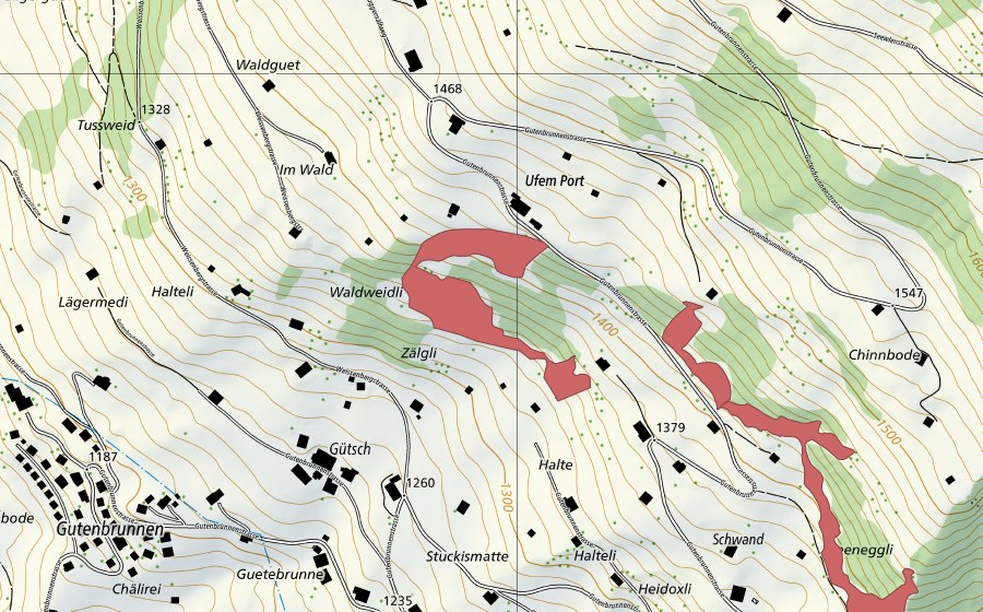 swisstopo national map showing the protected perimeter of Ufem Port (Dry meadow)