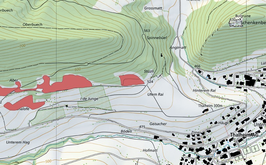 swisstopo national map showing the protected perimeter of Ufem Rain (Dry meadow)