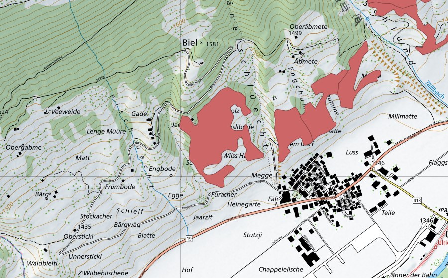 Landeskarte swisstopo mit dem Schutzperimeter von Ulrichen (Trockenwiese)