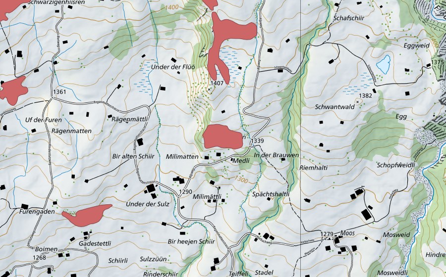swisstopo national map showing the protected perimeter of Under der Flüö (Dry meadow)